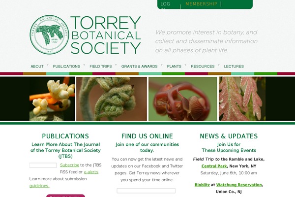 Site using Google Calendar Widget plugin