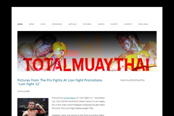 Twenty Twelve theme site design template sample