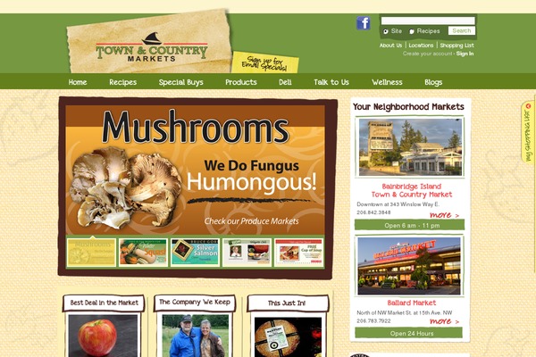 townandcountry WordPress theme, websites list used townandcountry theme townandcountry theme websites examples
