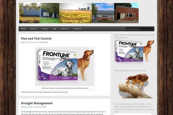 Esplanade theme site design template sample