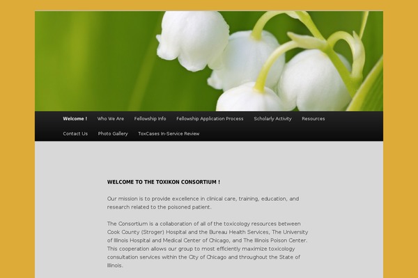 Twenty Eleven theme site design template sample