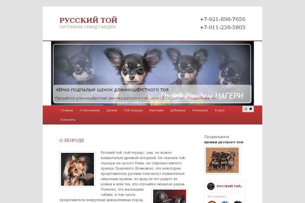 toy-dog.info site used Grandtandem