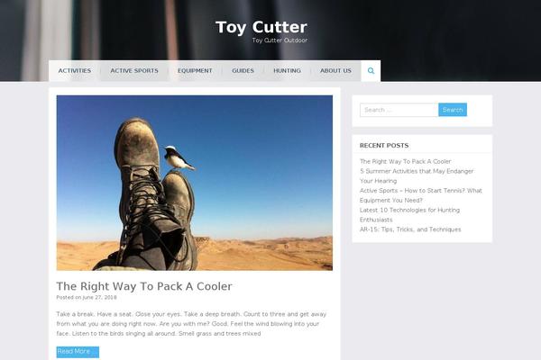 toycutter.com site used Eezy Store