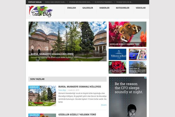 Point theme site design template sample