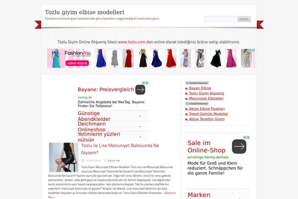tozlu WordPress theme, websites list used tozlu theme tozlu theme websites examples