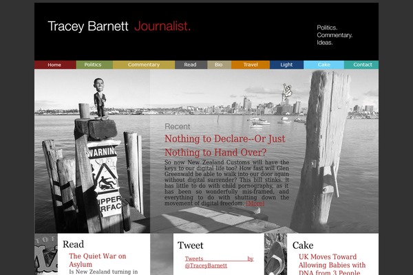 traceybarnett.co.nz site used Tracey