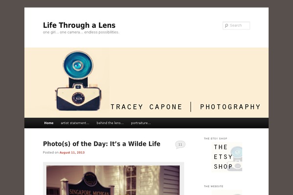 WordPress website example screenshot