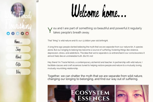 ontopic-child theme websites examples