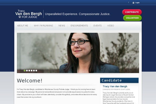 Candidate theme site design template sample