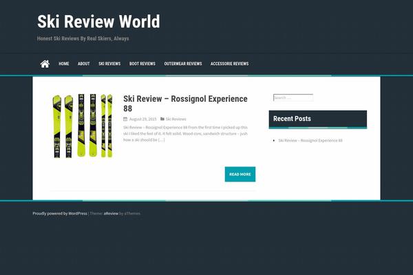 aReview theme site design template sample