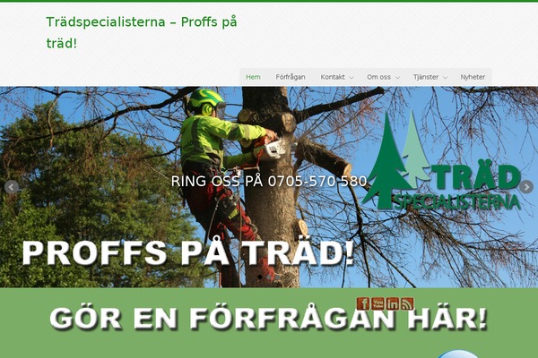 Site using Elegantbuilder plugin