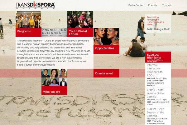 transdiasporanetwork.org site used Tdn-theme