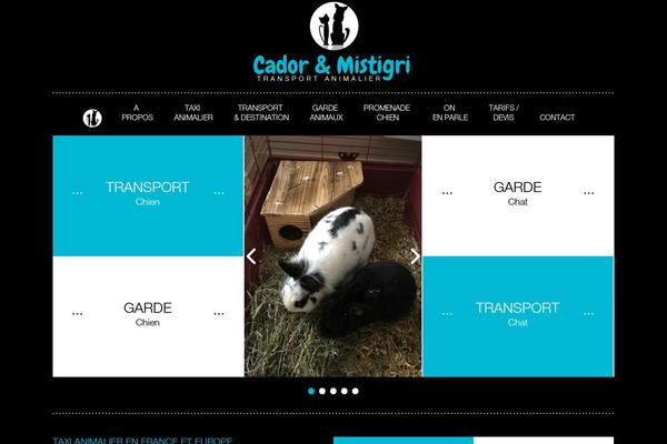 transport-animalier.com site used Cador_mistigri