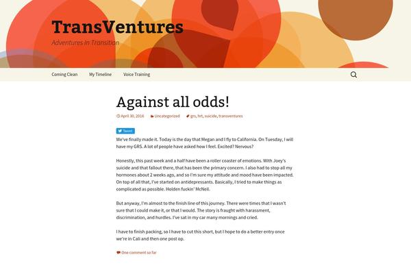 WordPress website example screenshot