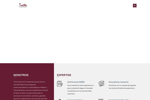 Consultancy theme site design template sample