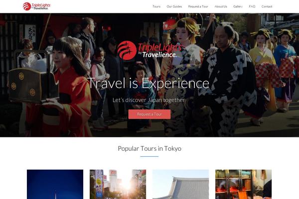 travelience.com site used Travelience