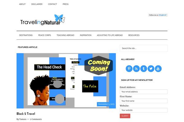 Magazine Pro theme site design template sample