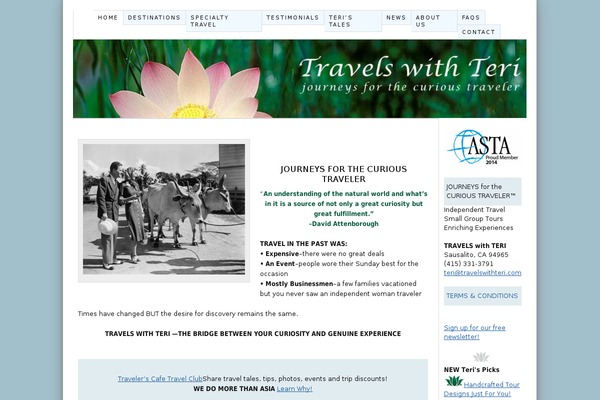 Thesis 1.8 theme site design template sample