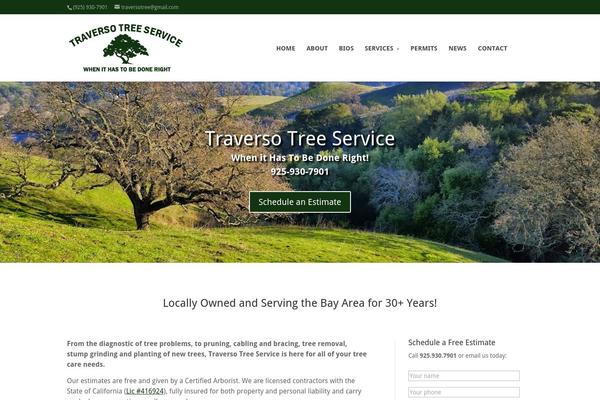 Divi theme site design template sample