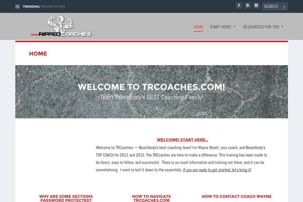 TheProfessional theme site design template sample