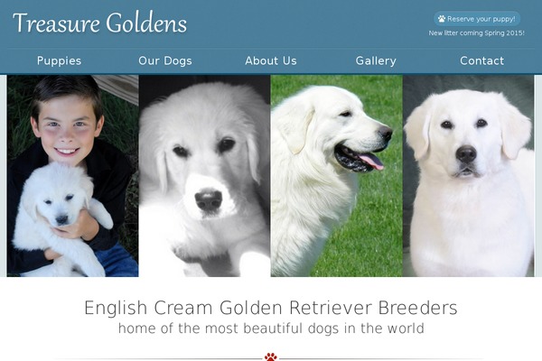 treasuregoldens.com site used Tg-bones