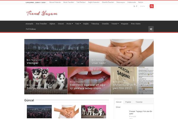 Sahifa theme site design template sample