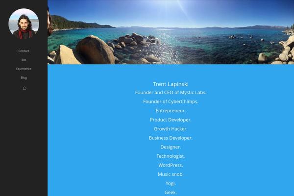 WordPress website example screenshot