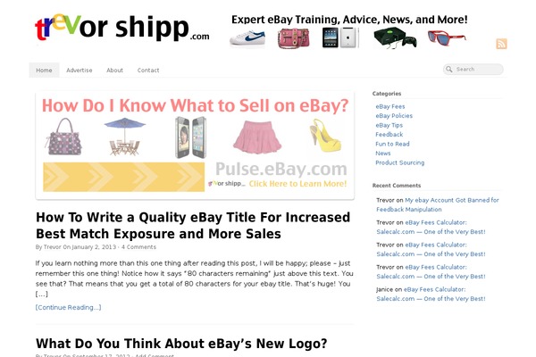 WordPress website example screenshot