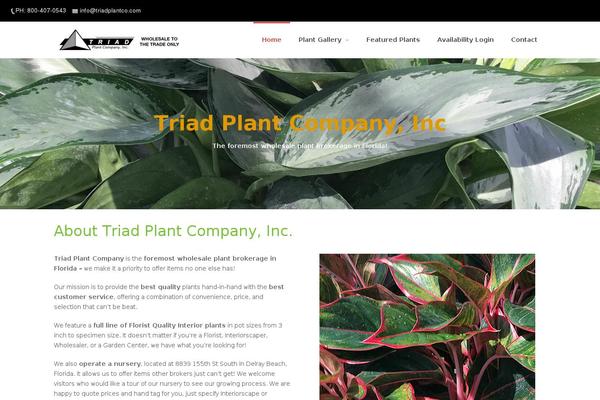 WordPress website example screenshot