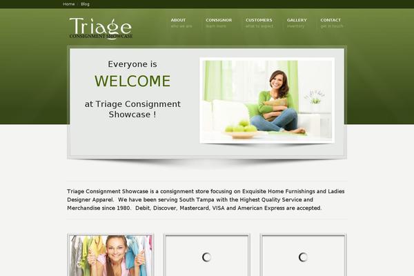 triageconsignment.com site used Triage