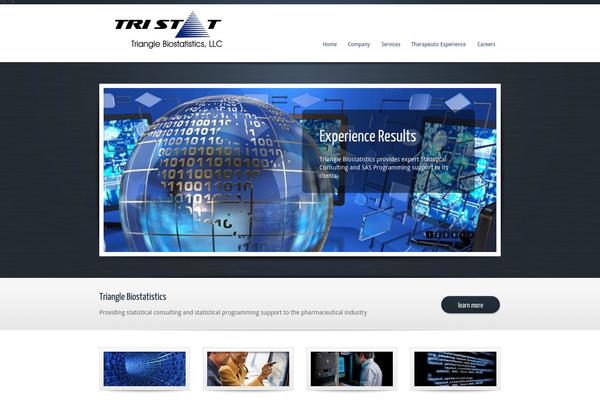 trianglebiostatistics.com site used Mondeo
