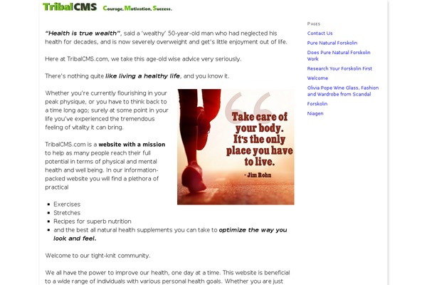 Thesis_182 theme site design template sample