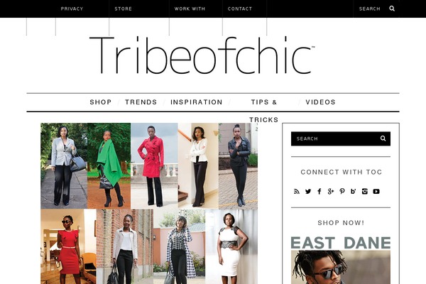 SimpleMag child theme site design template sample