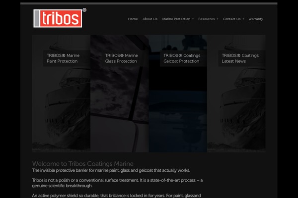 Echoes theme site design template sample
