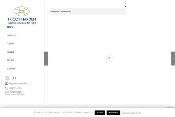Site using Dt-the7-core plugin