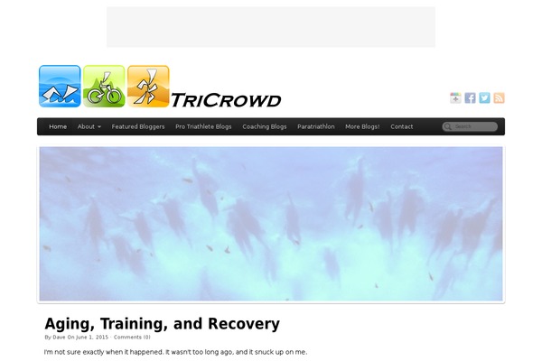PageLines theme site design template sample