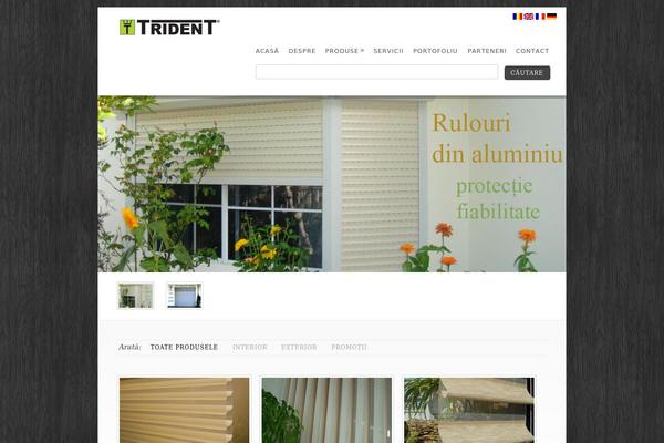 trident.ro site used Trident