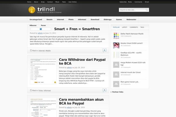 triindi.com site used Bigtri