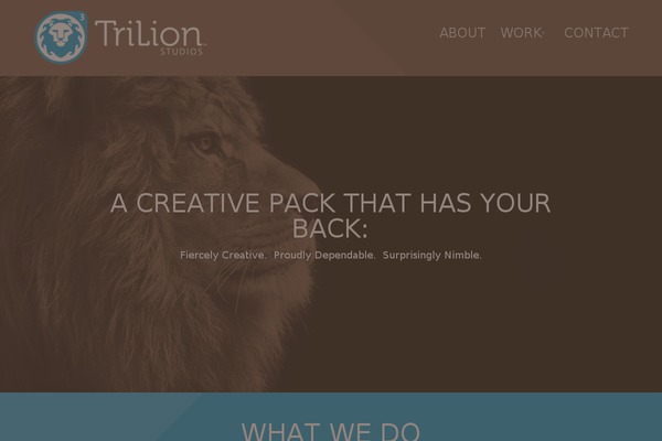 Divi theme site design template sample