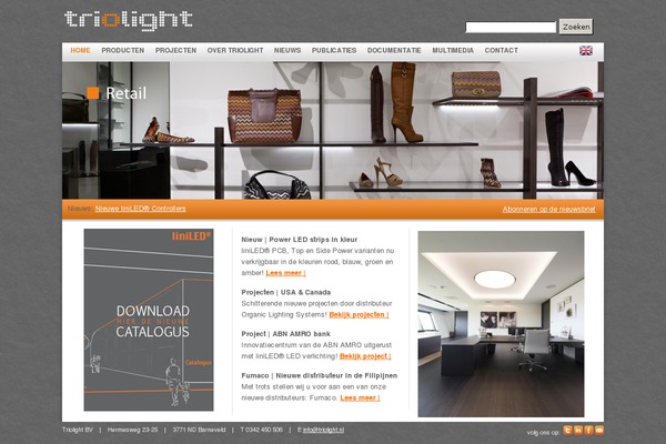 Triolight theme websites examples