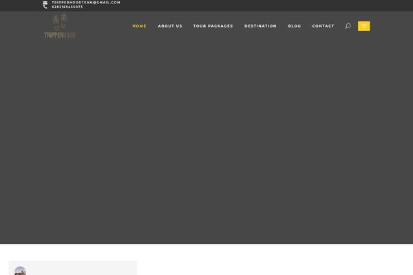 Altair theme site design template sample