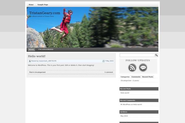 WordPress website example screenshot