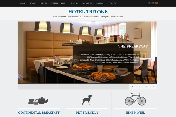 Triton Lite theme site design template sample