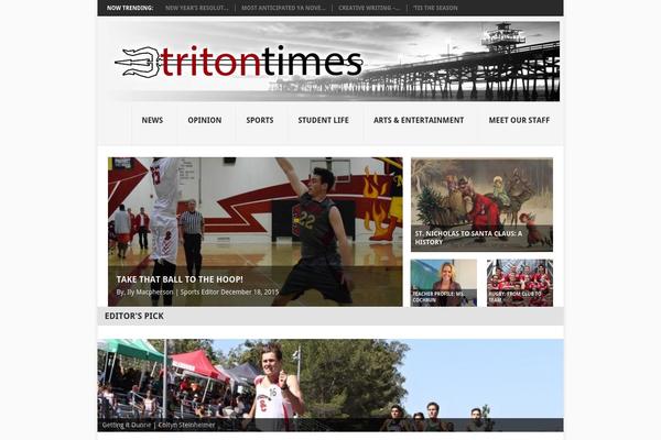 Point theme site design template sample