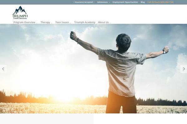 Salient theme site design template sample