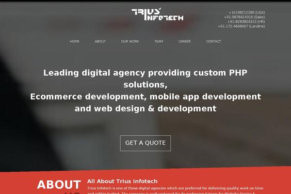 triusinfotech.com site used Trius_infotech