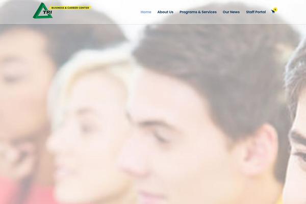 Consulting theme site design template sample