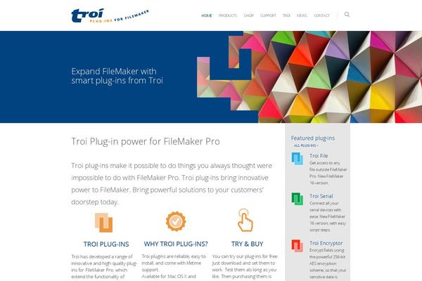 WordPress website example screenshot