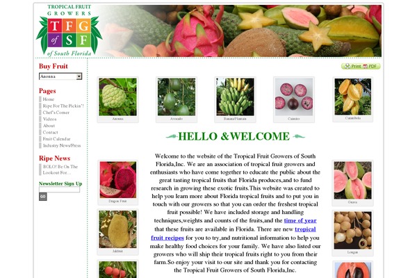 Atahualpa theme site design template sample