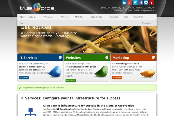 trueitpros.com site used Trueitpros